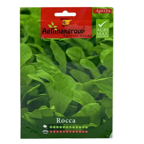 Rocket Leaves/ Arugula | Seeds - Image 2