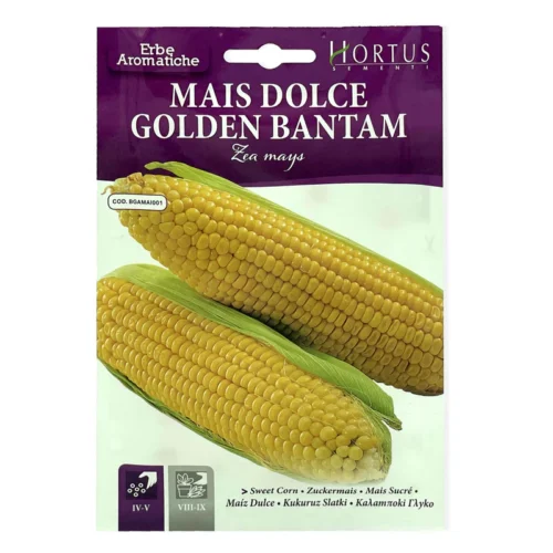 Golden BantamCorn | Seeds - Image 3