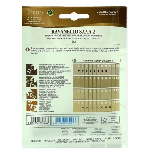Saxa Radish | Seeds - Image 4
