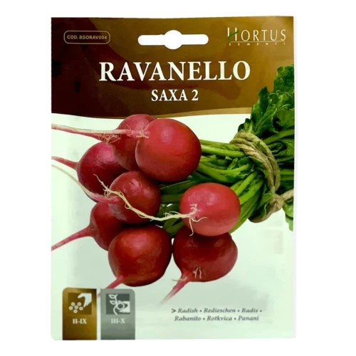 Saxa Radish | Seeds - Image 3
