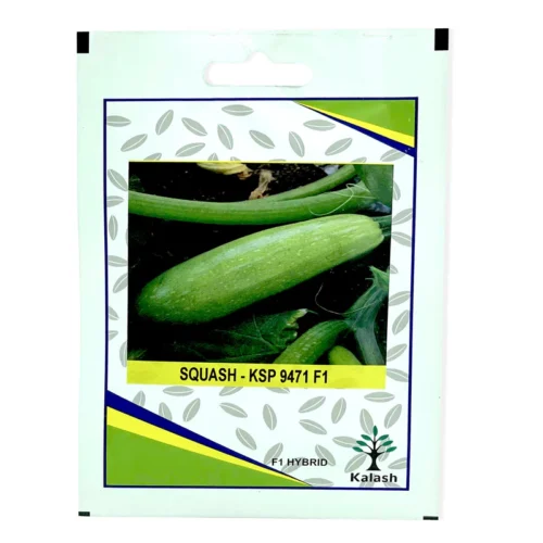Squash | Seeds - Image 3