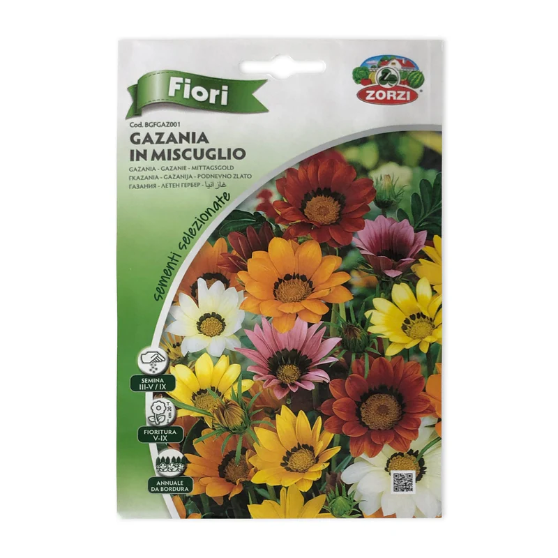 Gazania | Seeds - Image 3