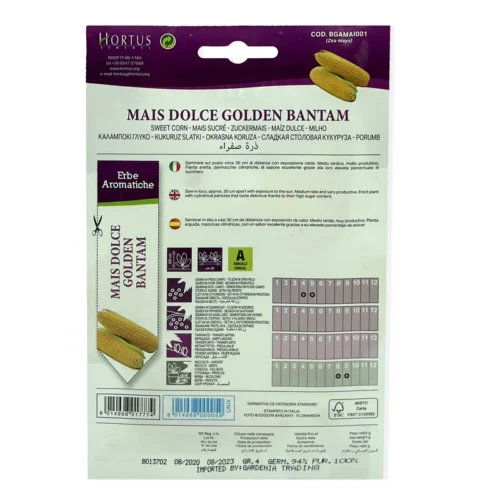 Golden BantamCorn | Seeds - Image 2
