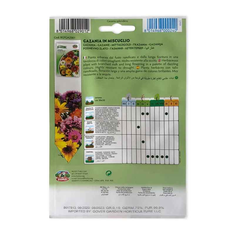 Gazania | Seeds - Image 2