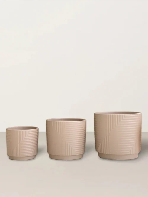 Ella | Brown - Image 3