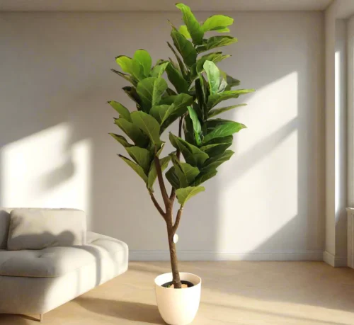 Artificial Ficus lyrata or Fiddle Leaf Fig Tree