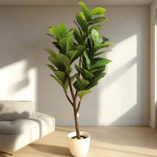 Artificial Ficus lyrata or Fiddle Leaf Fig Tree - Default Plastic Pot