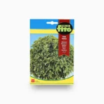 Basil Fine Leafed – Fito