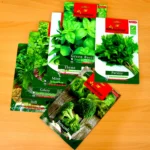 Seeds Bundle Agrimax (Herbs)