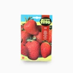 Ruby Strawberry Seeds 110mg – Fito