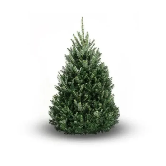 Christmas Tress