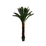 Artificial Cycas
