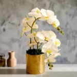 Artificial White Orchids