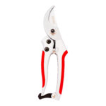 Pruning Shear