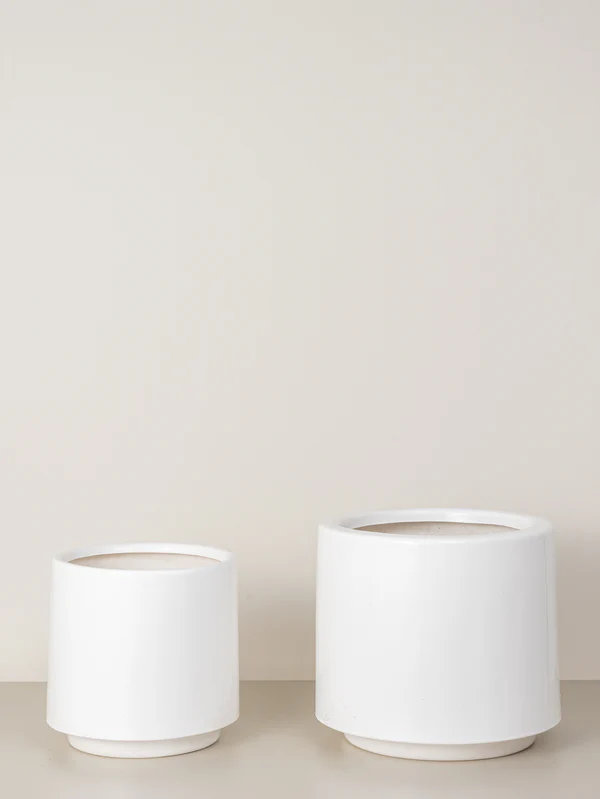 Lily | White (Plastic Fibre Pot) - Image 2