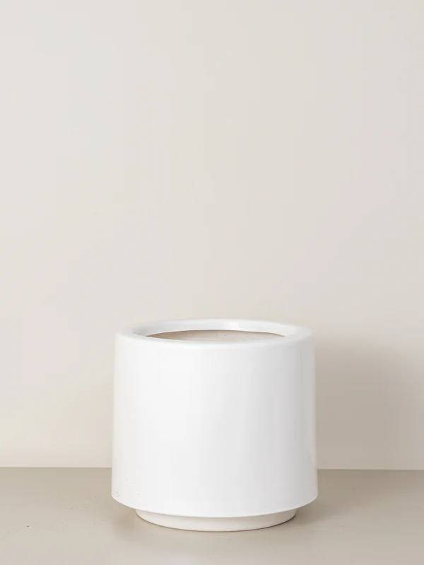 Lily | White (Plastic Fibre Pot)