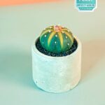 Murano Cactus Mini (Astrophytum myriostigma)