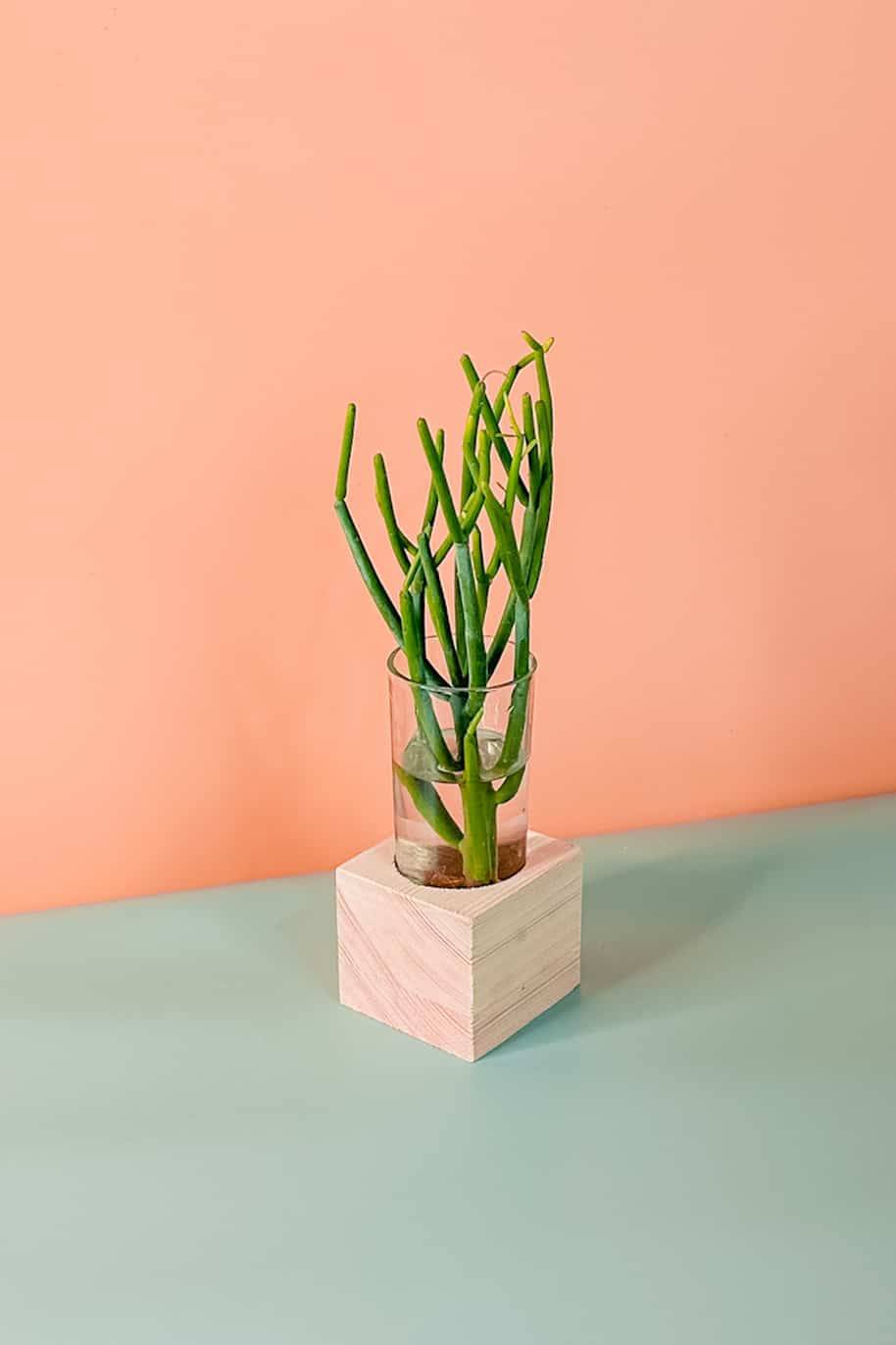 Pencil Cactus Cubo (PS Decor)