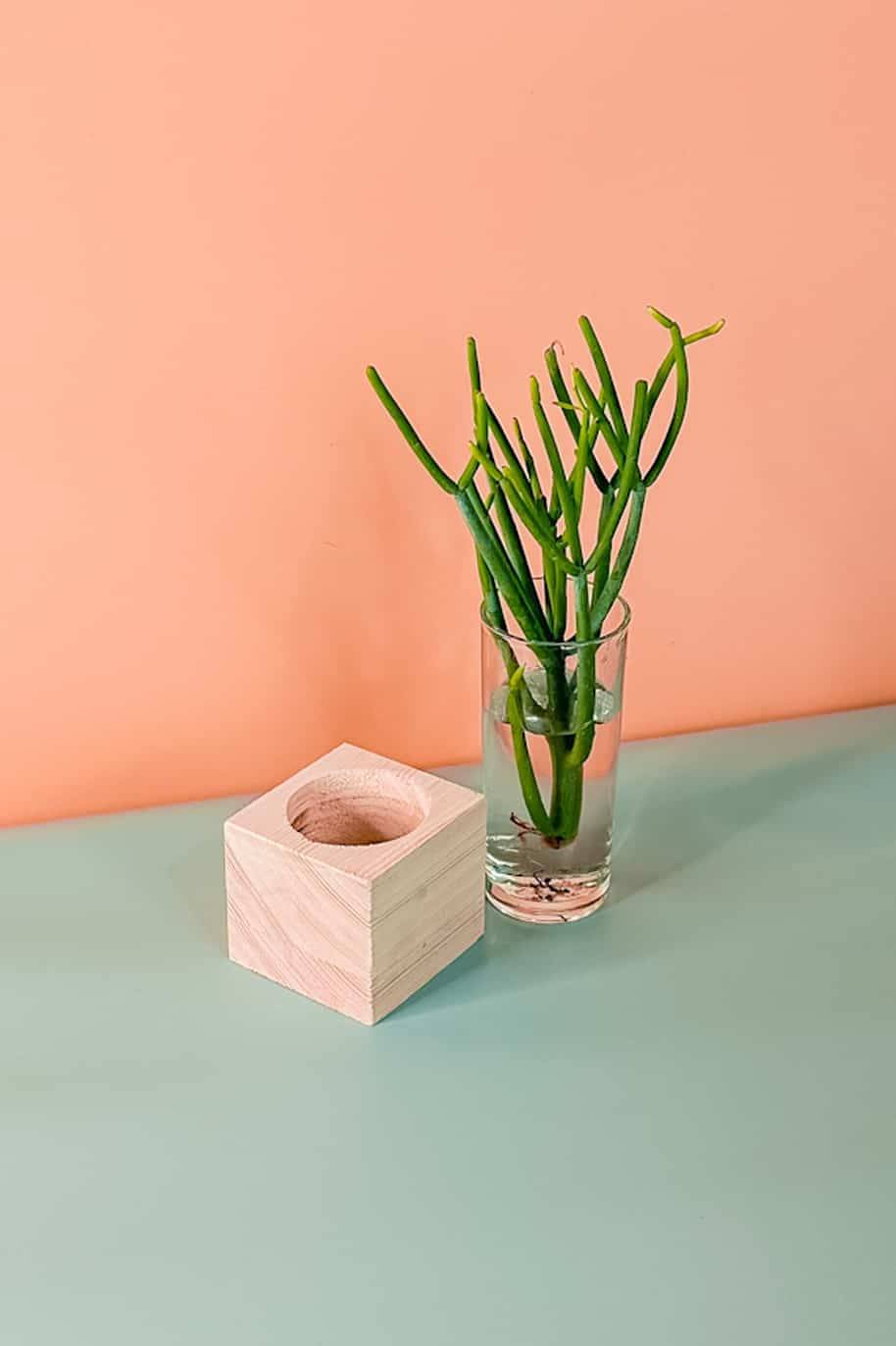 Pencil Cactus Cubo (PS Decor) - Image 2