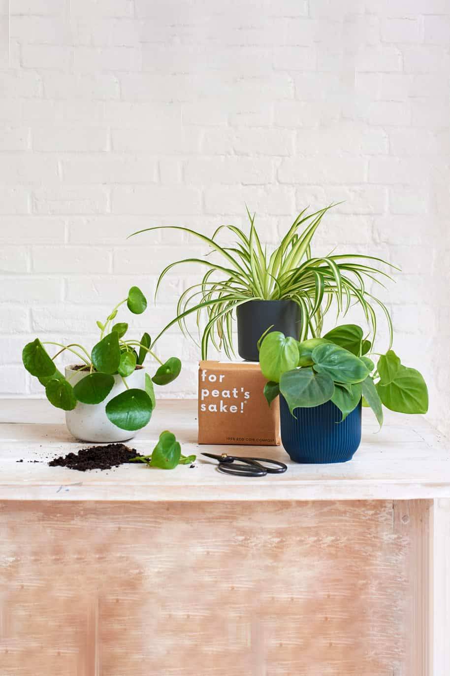 Propagation Bundle (PS Combo Set)