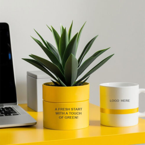 Corporate Welcome Plant Gift