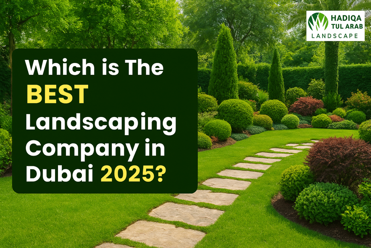 BEST Landscaping Company in Dubai 2025?