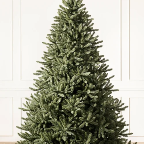 Abies Nordmanniana 150–175 cm (5–6 ft) Christmas Tree – AED 400 For Sale in Dubai