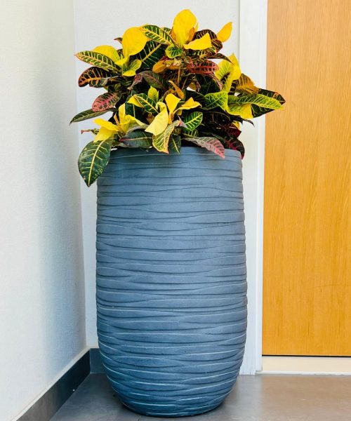 WhatsApp Image 2025-07-29 at 1.29.31 PM