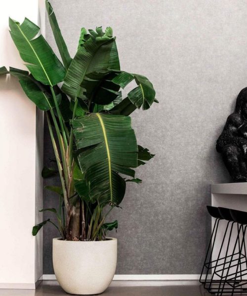 WhatsApp Image 2025-07-29 at 1.29.32 PM (1)