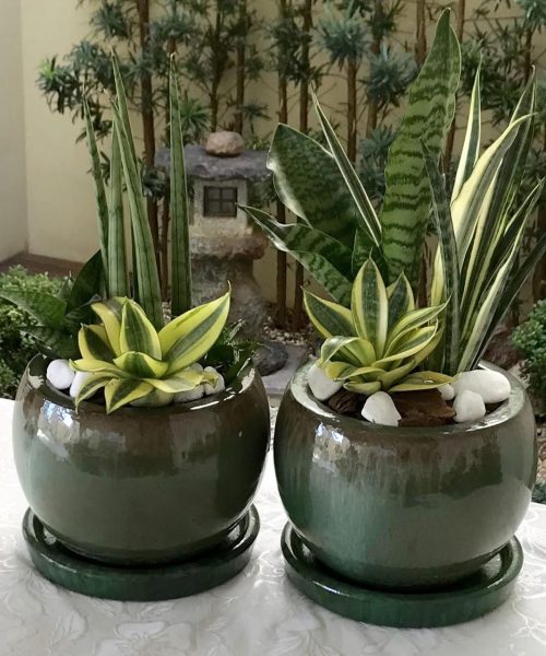 WhatsApp Image 2025-07-29 at 1.29.35 PM (1)