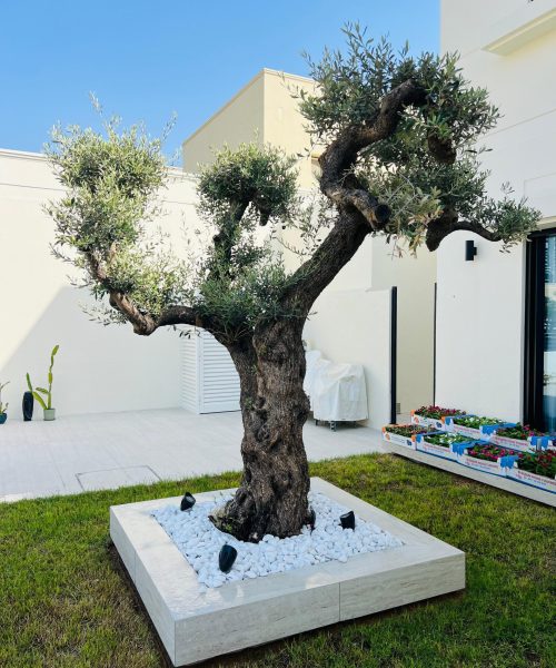 WhatsApp Image 2025-08-01 at 4.46.31 PM