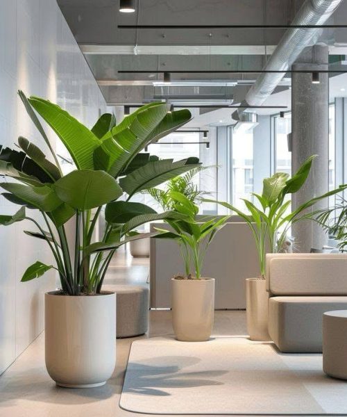 WhatsApp Image 2026-04-06 at 1.40.36 AM (1)