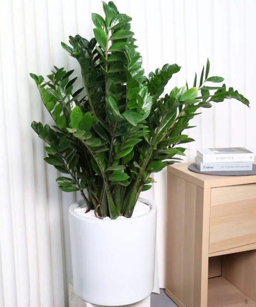 WhatsApp Image 2026-04-06 at 1.40.36 AM