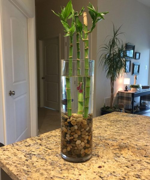 WhatsApp Image 2026-04-06 at 1.40.37 AM